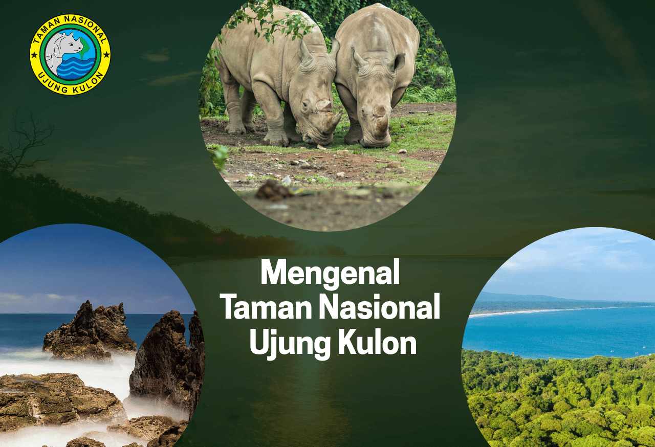 Mengenal Taman Nasional Ujung Kulon
