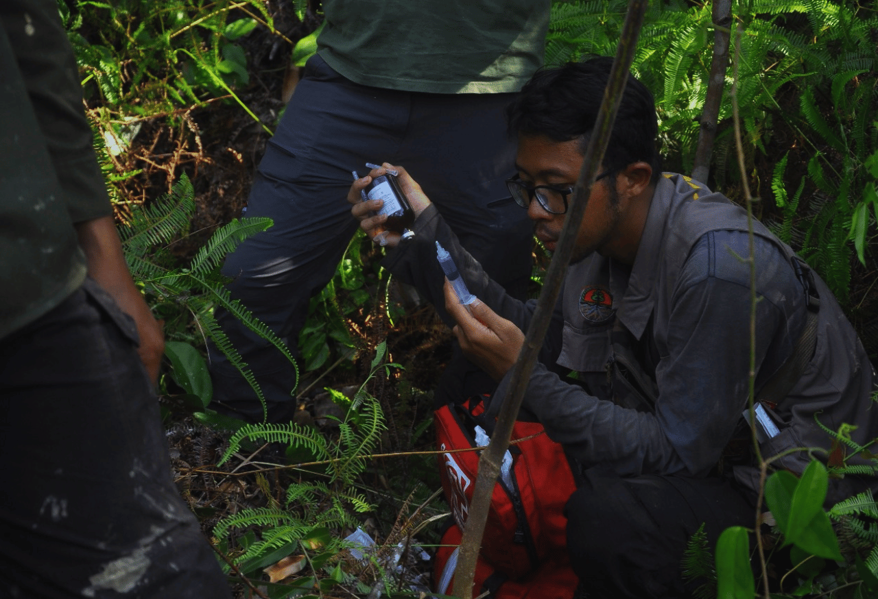 Monitoring Pasca Translokasi