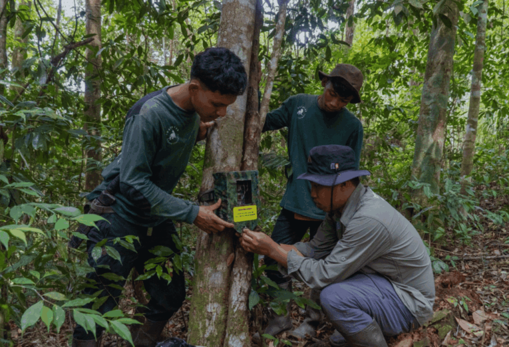 Pentingnya Program Konservasi di Ujung Kulon