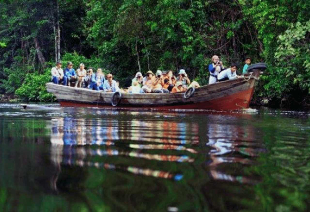 Taman Nasional Berbak Sembilang